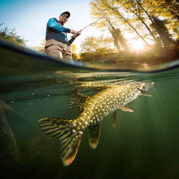 Isänpäivä - Korttipiste