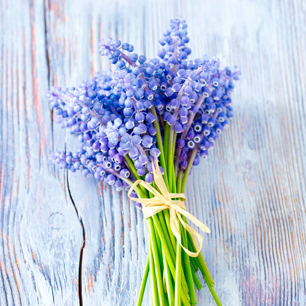 Kevät - Korttipiste