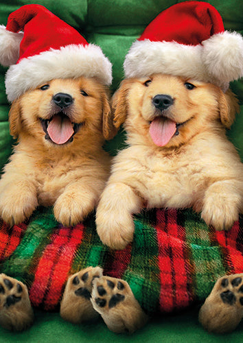 1-osainen joulukortti, Avanti