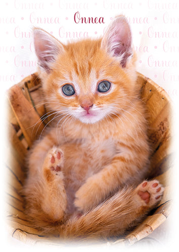 1-osainen eläinkortti kissa